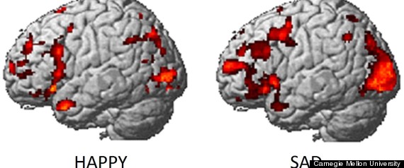 BRAIN-ACTIVITY-EMOTIONS-large570