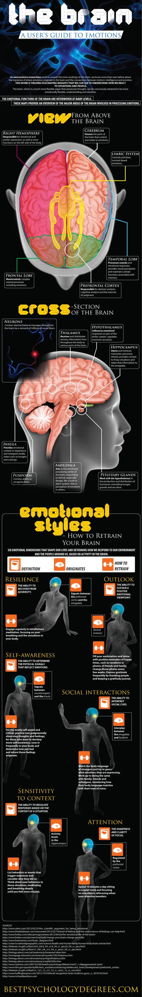 A Guide To Emotions And How To Retrain Your Brain (Infographic)