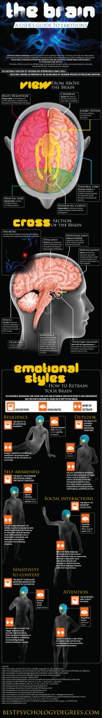 A Guide To Emotions And How To Retrain Your Brain (Infographic)