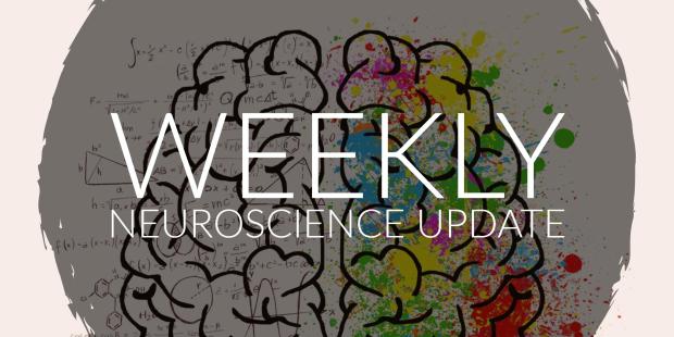 Adobe Spark (81).jpg