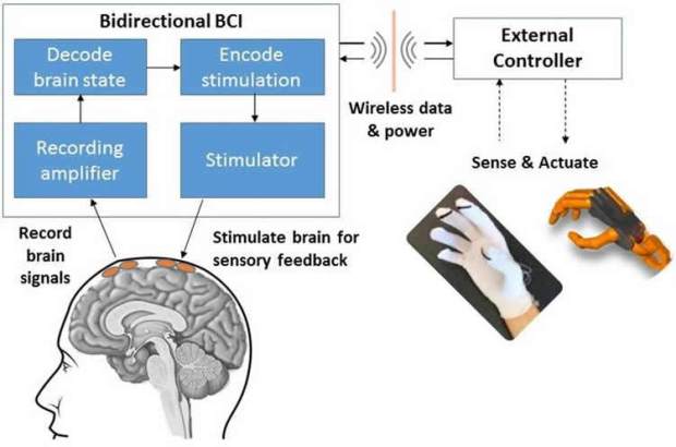 bci-arm-control-neurosciencenews.jpg