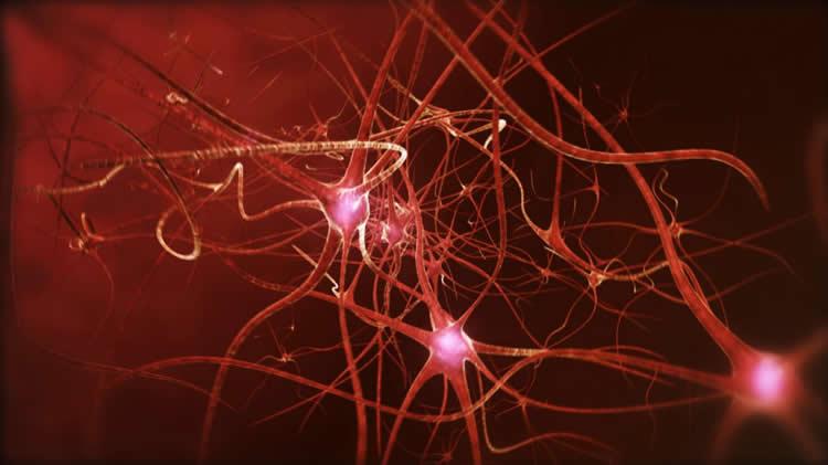 tired-brain-cells-mental-lapses-neurosciencenews.jpg