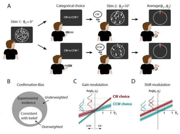 confirmation-bias-dots-neurosciencneews (1).jpg